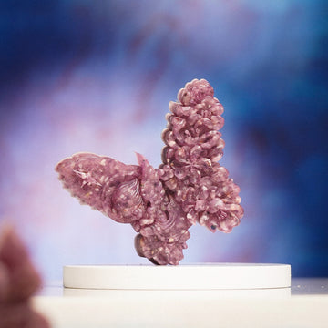 Rose Quartz Crystal Butterfly