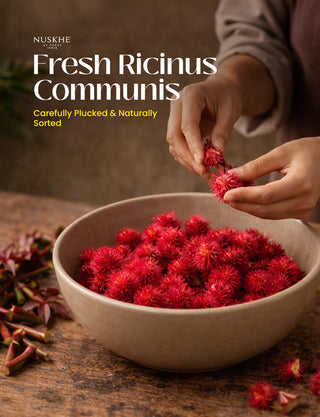 Ayurvedic Nabhi Chikitsa | Digestion Boosting Navel Oil