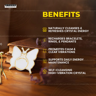 Butterfly Aura Shuddhi Selenite Coaster