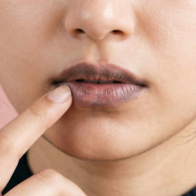 Lip