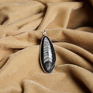 All-Natural Orthoceras Kuber Pendant