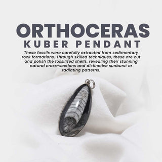 All-Natural Orthoceras Kuber Pendant