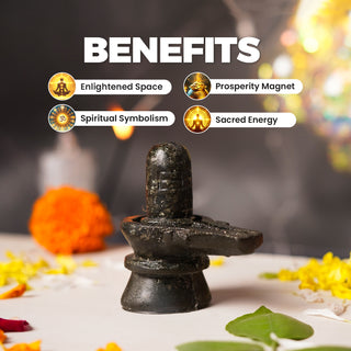 Pyrite Shivling