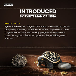 Pyrite Turtle