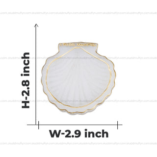 Sacred Sea Shell Harmony Selenite Coaster