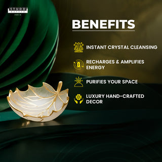 Selenite Crystal Recharging Leaf