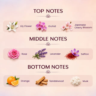 Ultimate Scent Box