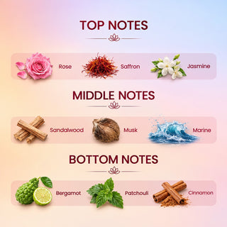 The Four Force Combo — Set of